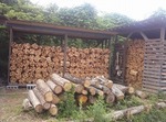 IMG01226s-.jpg